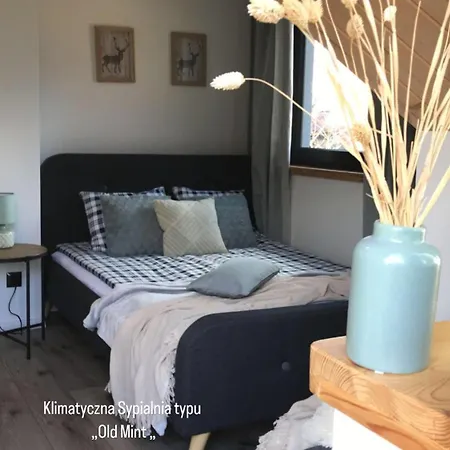 Holiday home Sarnia Skala House Zakopane